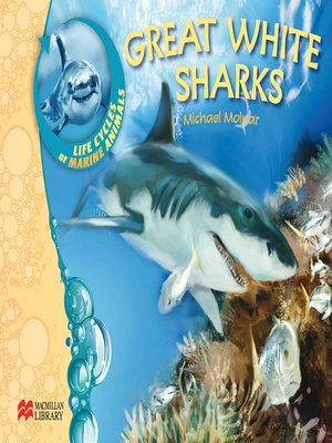 cover image of Great White Sharks